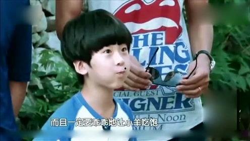 八卦娱乐爆料恶搞图片,恶搞图片背后的八卦娱乐风云  第1张 八卦娱乐爆料恶搞图片,恶搞图片背后的八卦娱乐风云  第1张